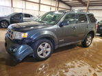Ford Escape 2008
