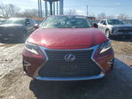 Lexus ES 2017