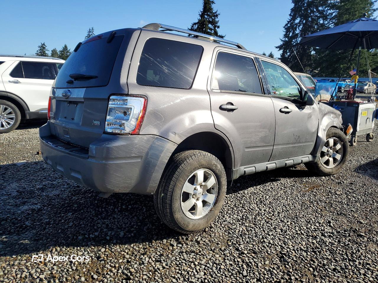 Ford Escape 2011