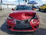 Lexus IS 2014