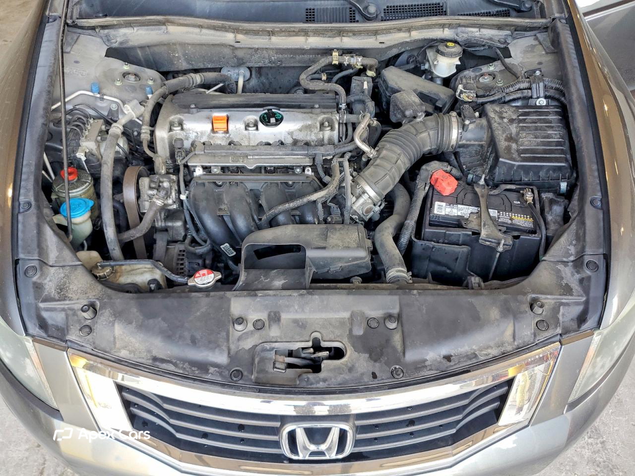 Honda Accord 2010