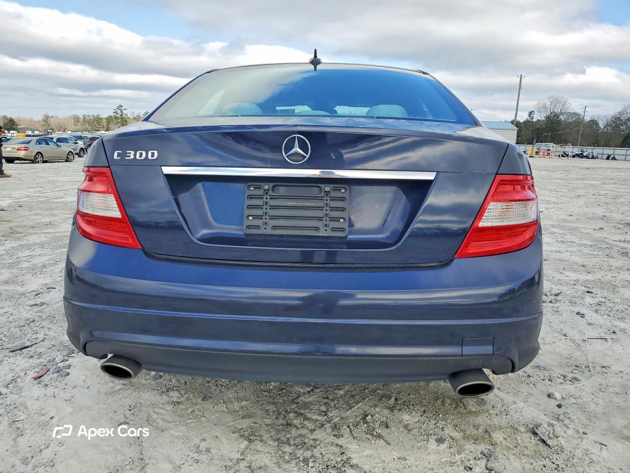 Mercedes-Benz  2010