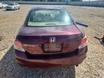 Honda Accord 2010