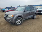 Ford Escape 2010