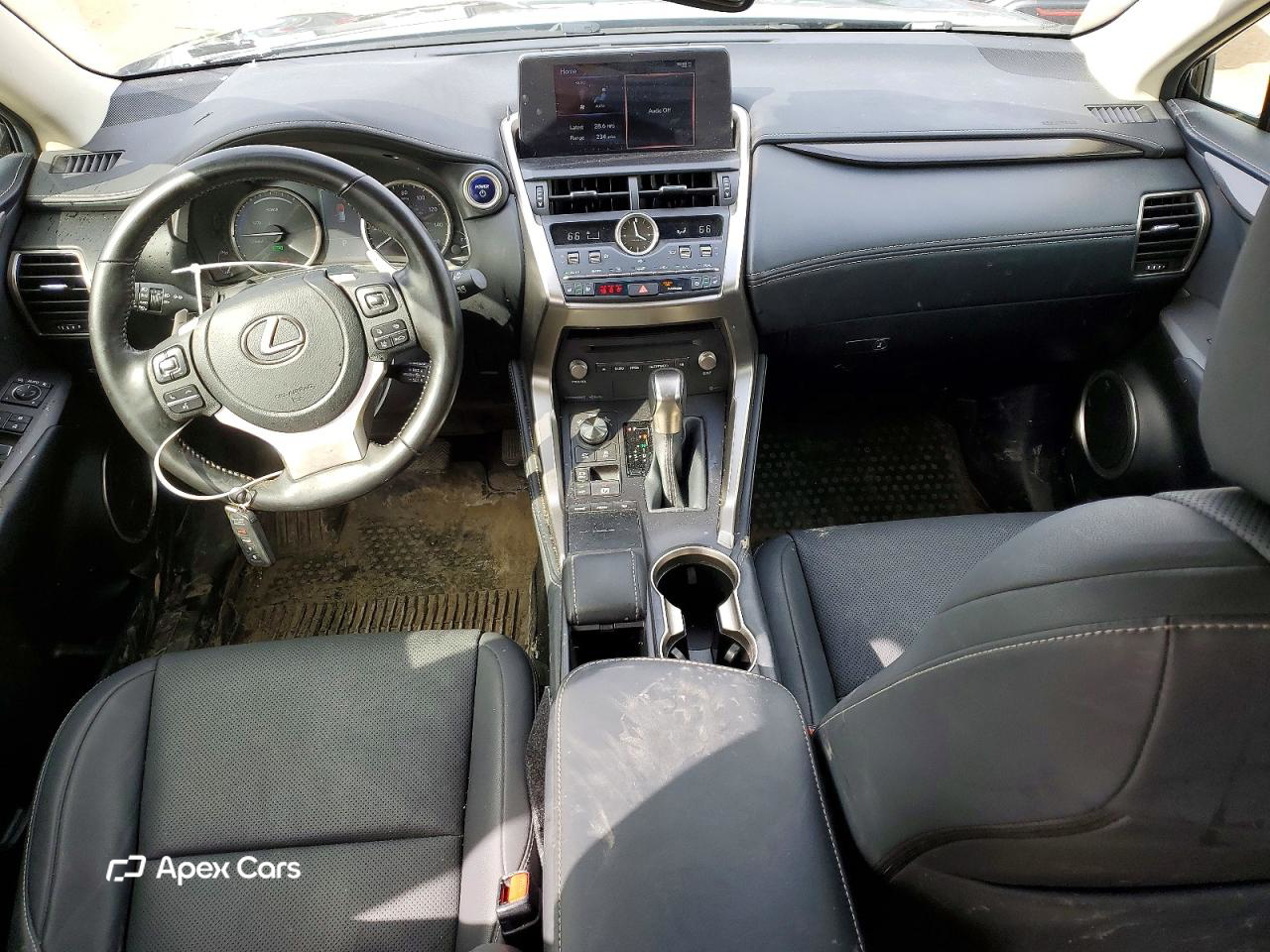 Lexus NX 2021