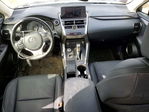 Lexus NX 2021