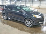 Ford Escape 2014