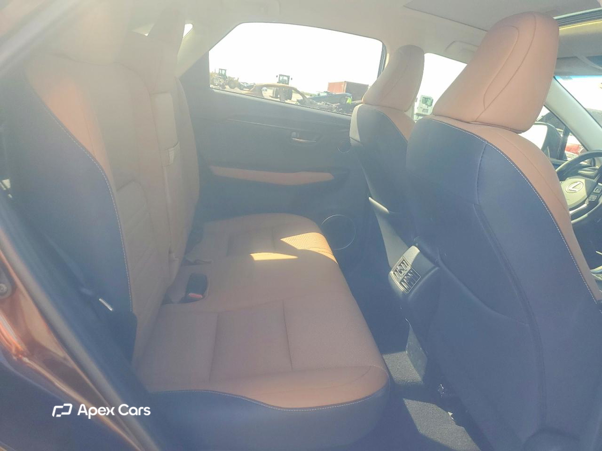 Lexus NX 2019