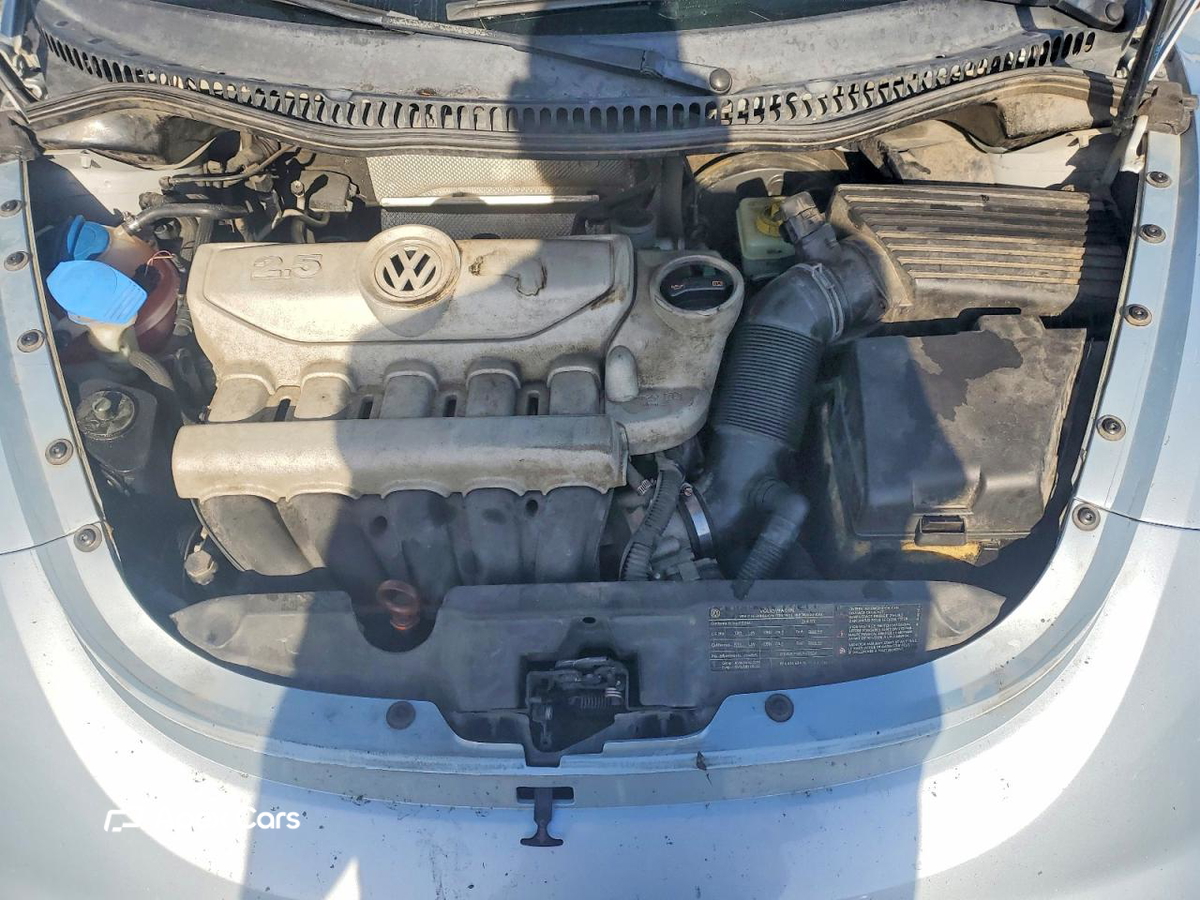 Volkswagen Beetle 2010