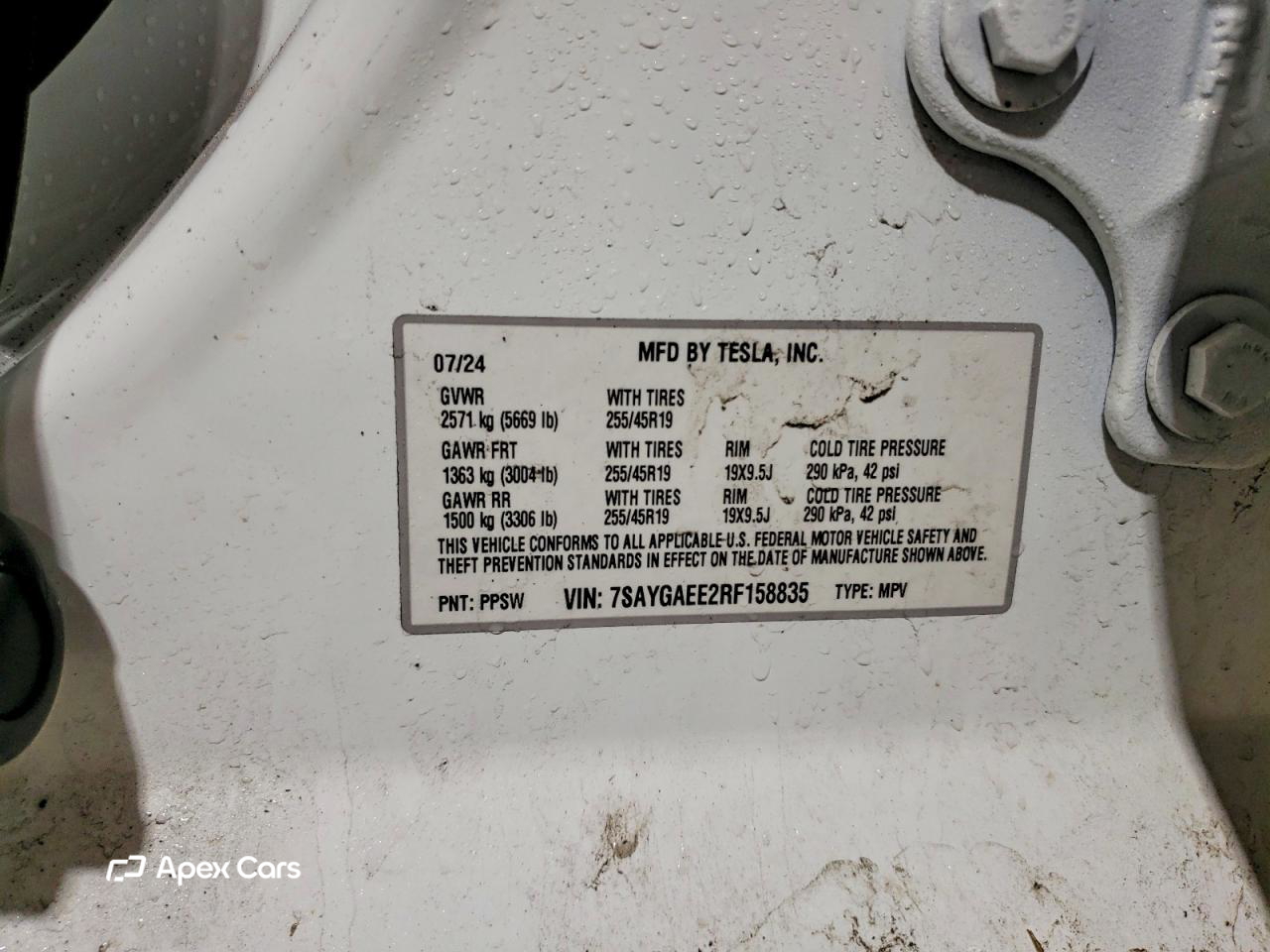 Tesla Model Y 2024