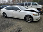 Lexus LS 2008