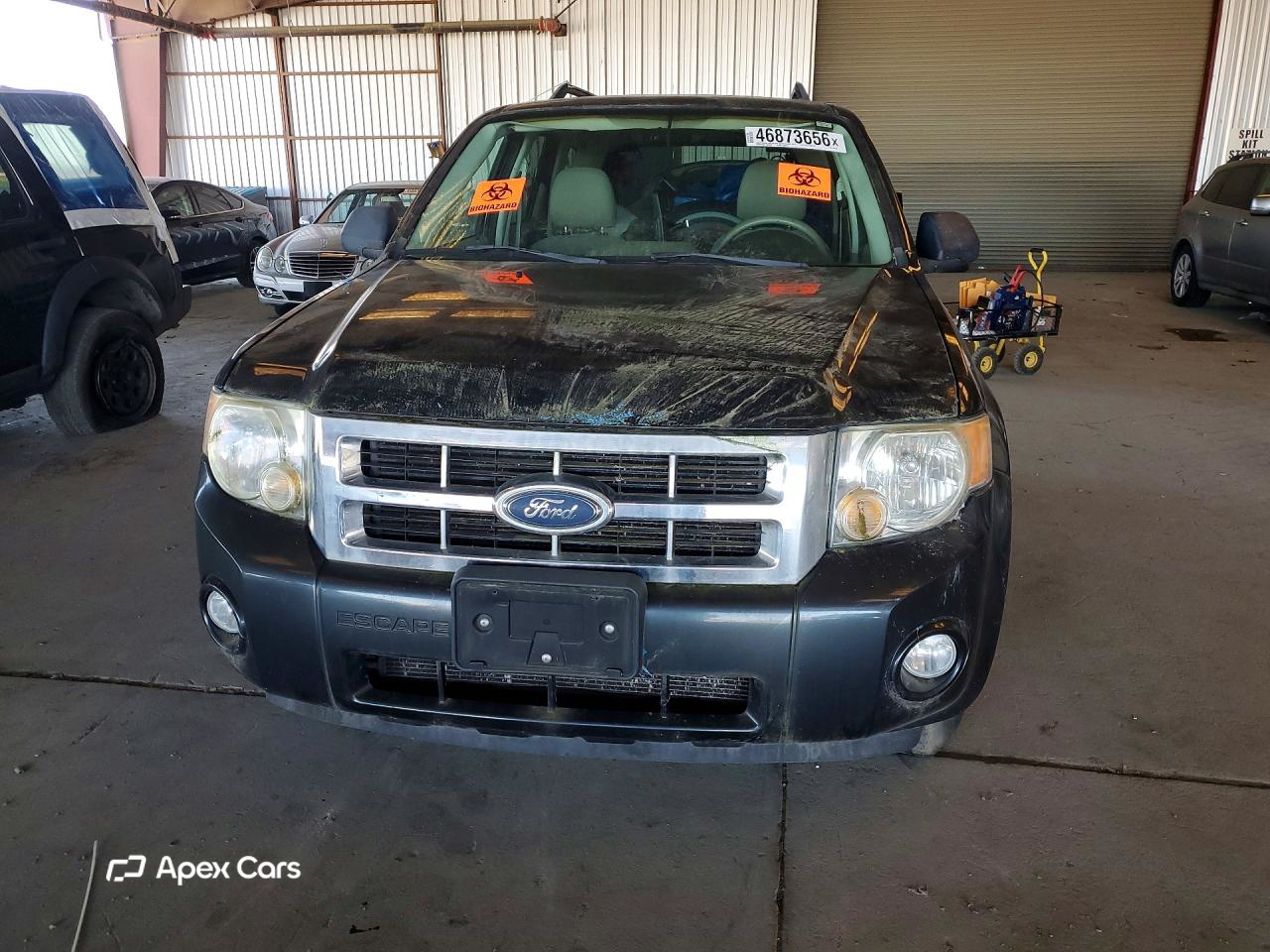 Ford Escape 2008
