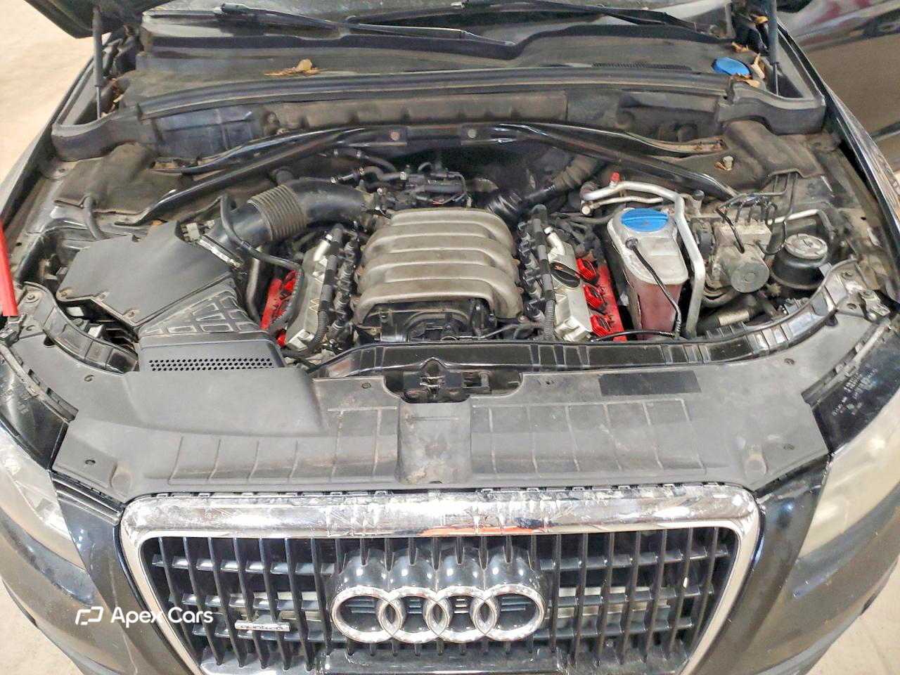 Audi Q5 2010