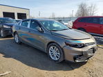 Chevrolet Malibu 2017