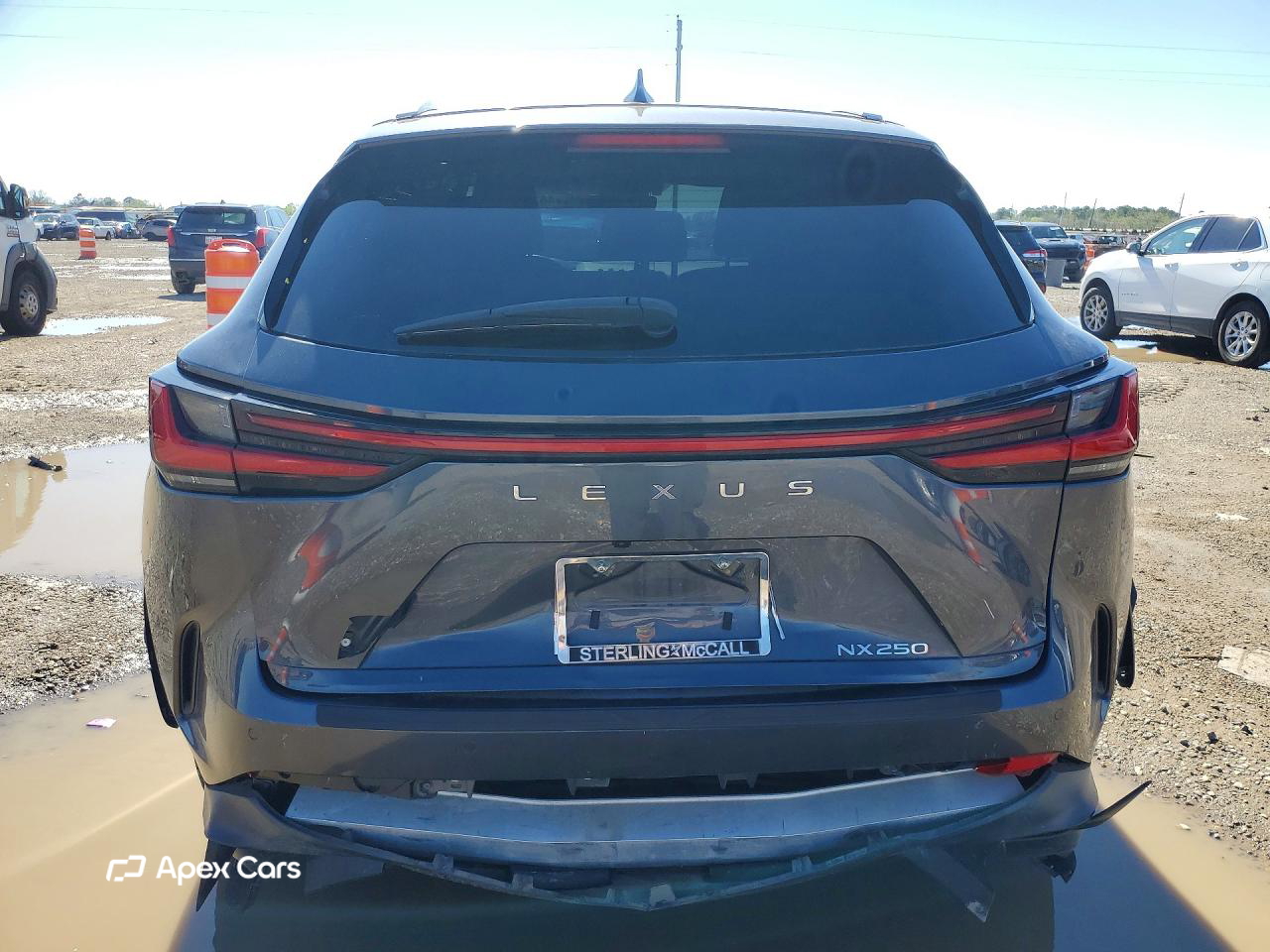 Lexus NX 2023