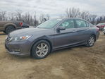 Honda Accord 2013