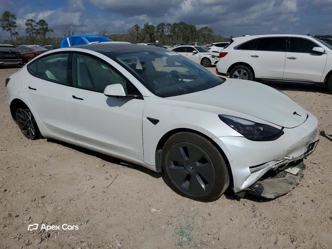 Tesla Model 3 2022