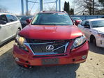 Lexus RX 2010