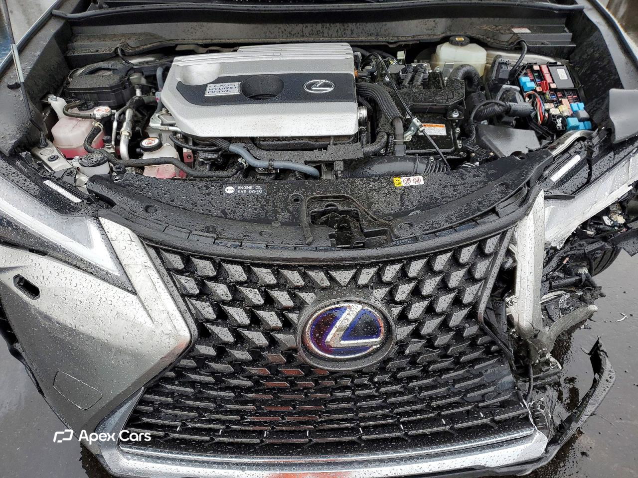 Lexus UX 2021