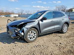 Ford Escape 2024