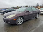 Lexus ES 2006