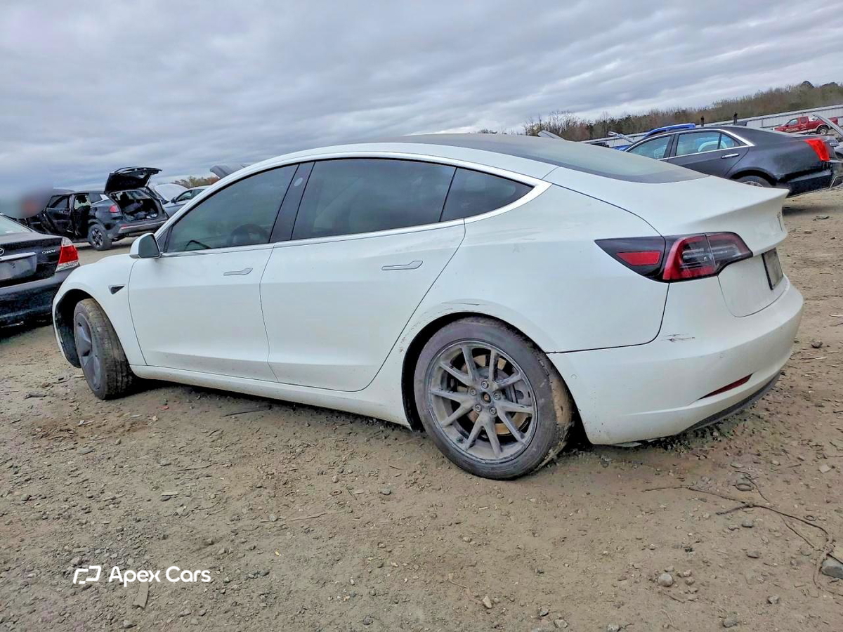 Tesla Model 3 2019