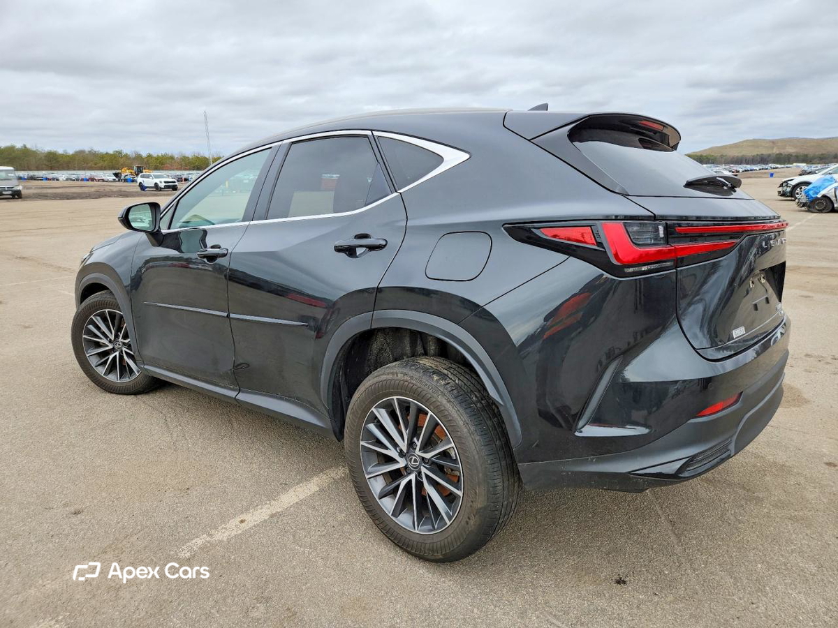Lexus NX 2024