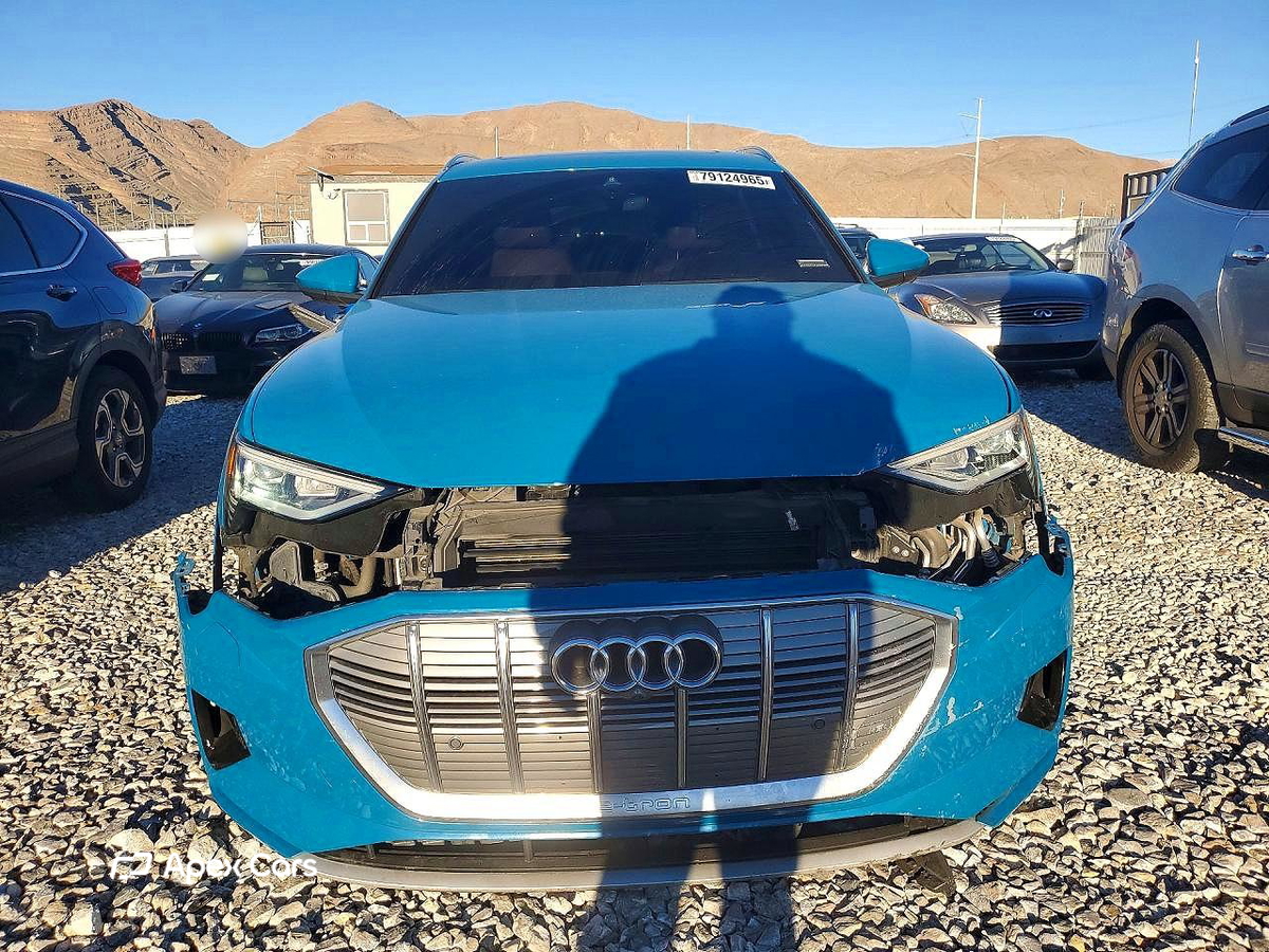 Audi e-tron 2019