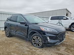 Ford Escape 2020