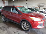 Ford Escape 2014