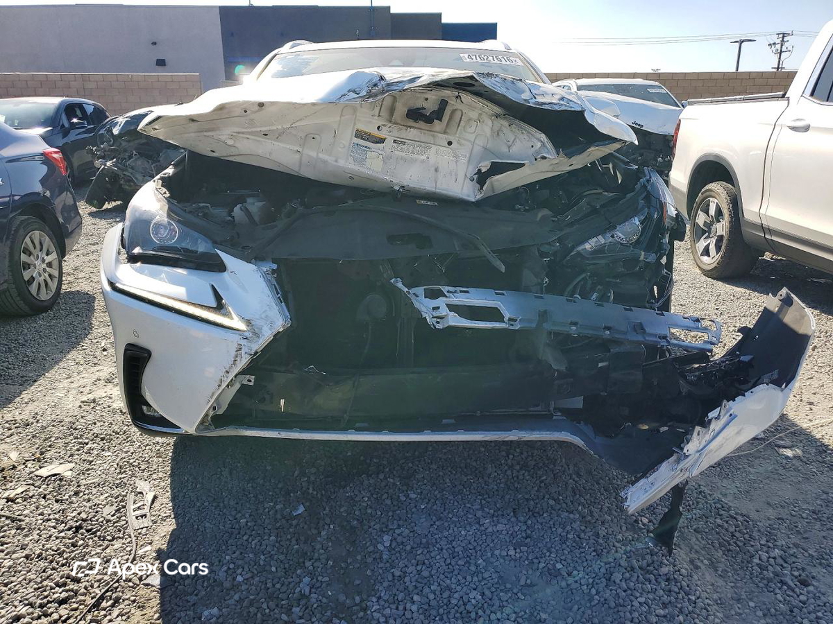 Lexus NX 2020