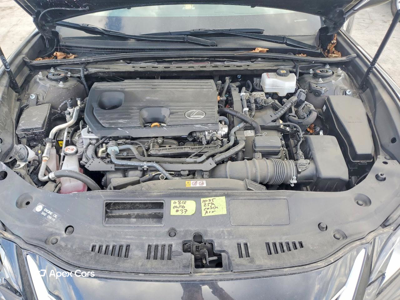 Lexus ES 2024