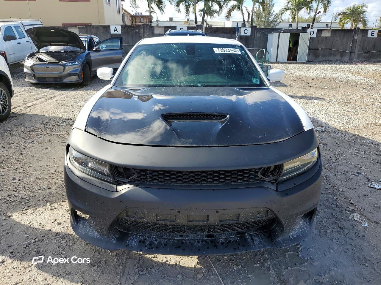 Dodge Charger 2019