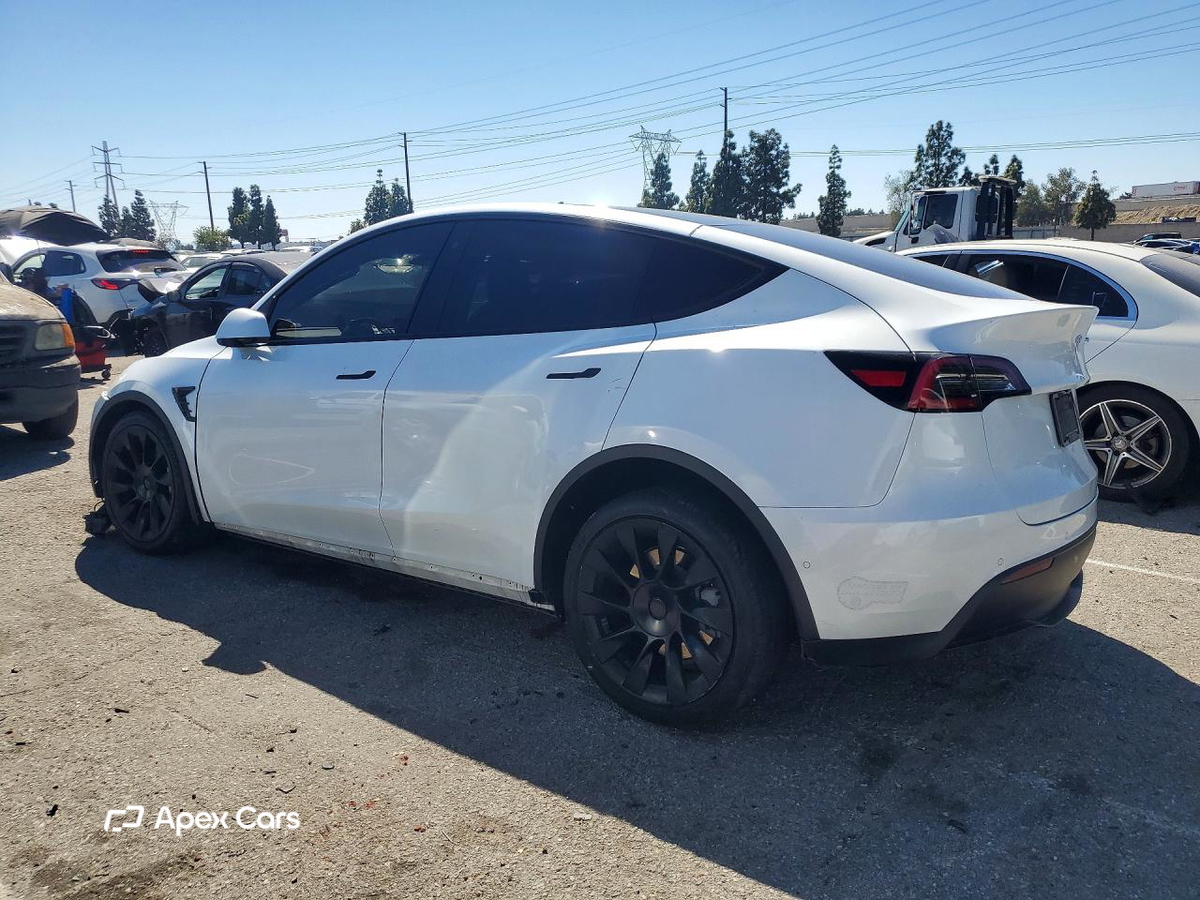 Tesla Model Y 2020