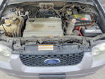 Ford Escape 2007