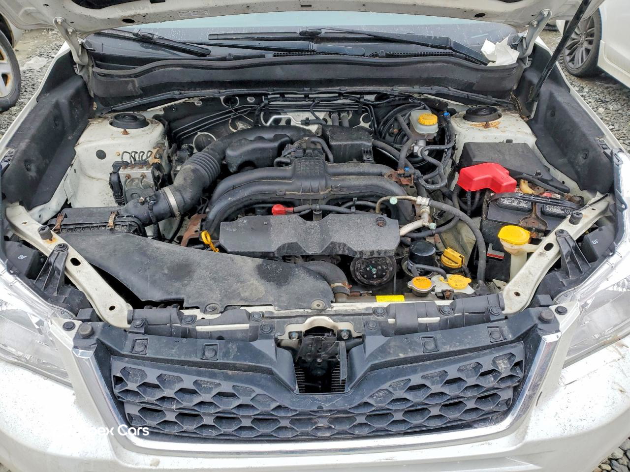 Subaru Forester 2014