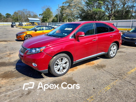 Lexus RX 2010 - Image 1 of 13