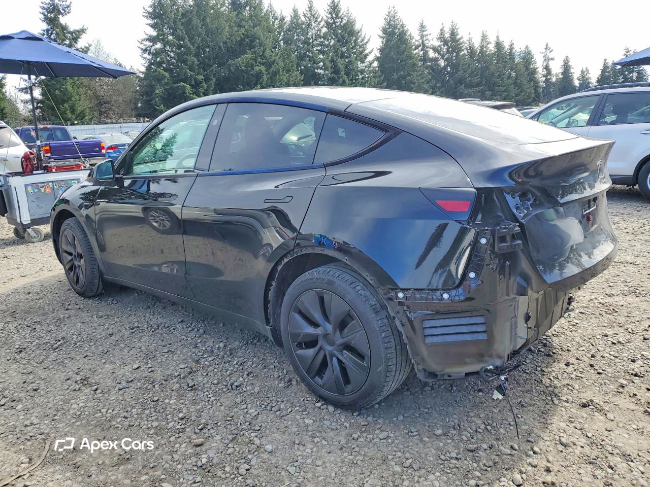 Tesla Model Y 2025