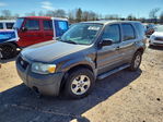 Ford Escape 2006