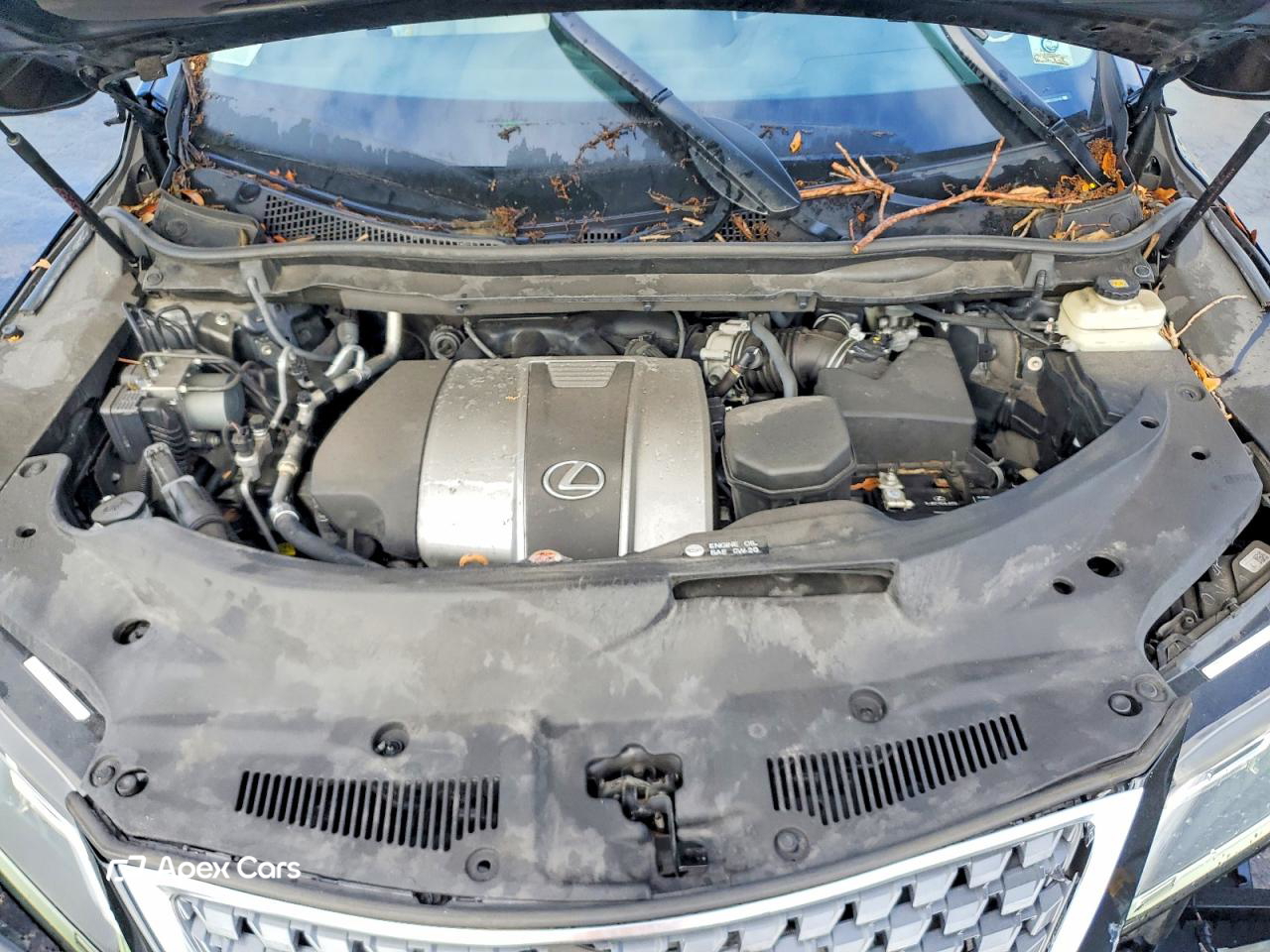 Lexus RX 2020