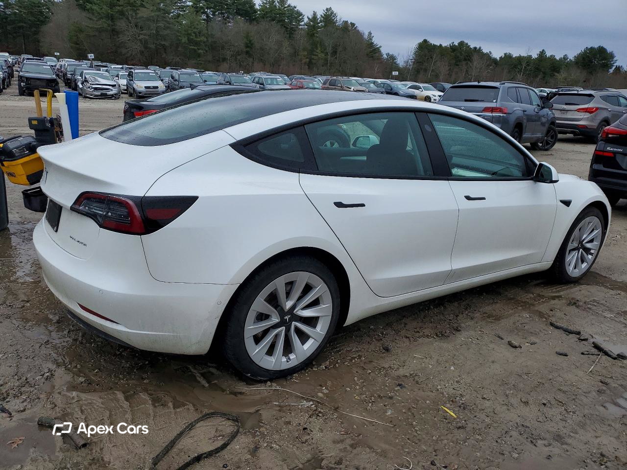 Tesla Model 3 2022