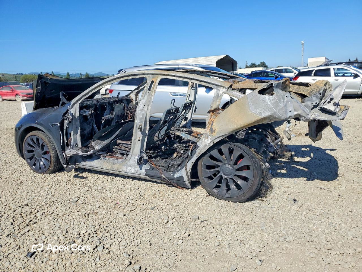 Tesla Model Y 2024