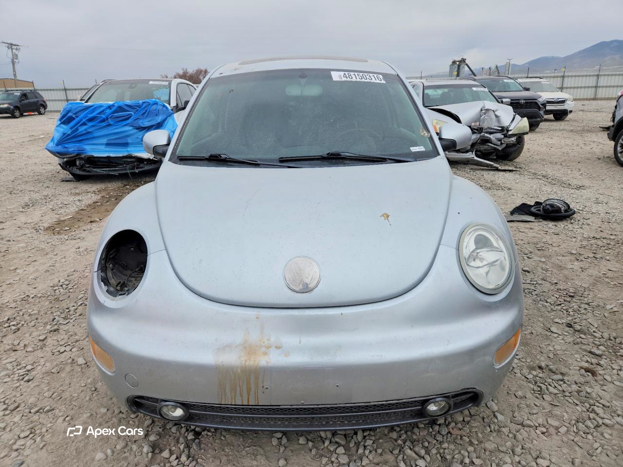 Volkswagen Beetle 2003