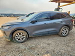 Ford Escape 2024