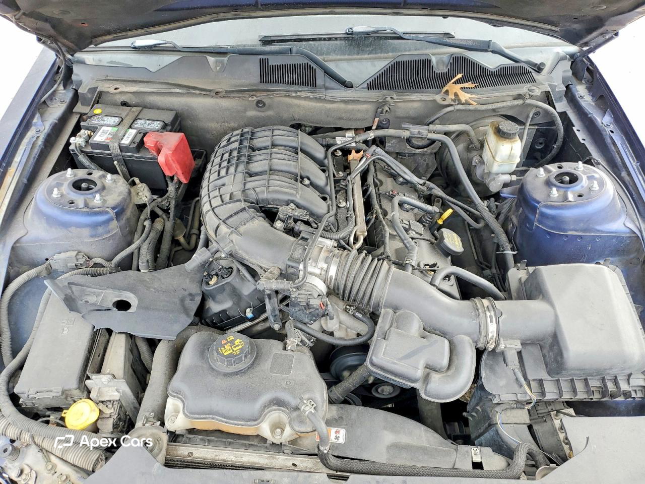 Ford Mustang 2011