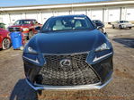 Lexus NX 2021
