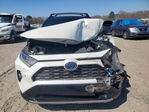 Toyota RAV 4 2020