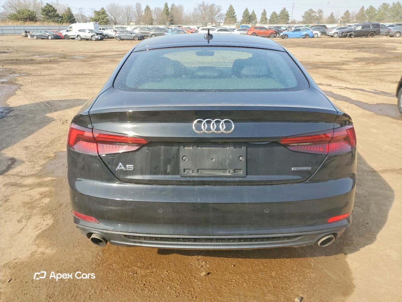 Audi A5 2019