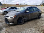Toyota Corolla 2017