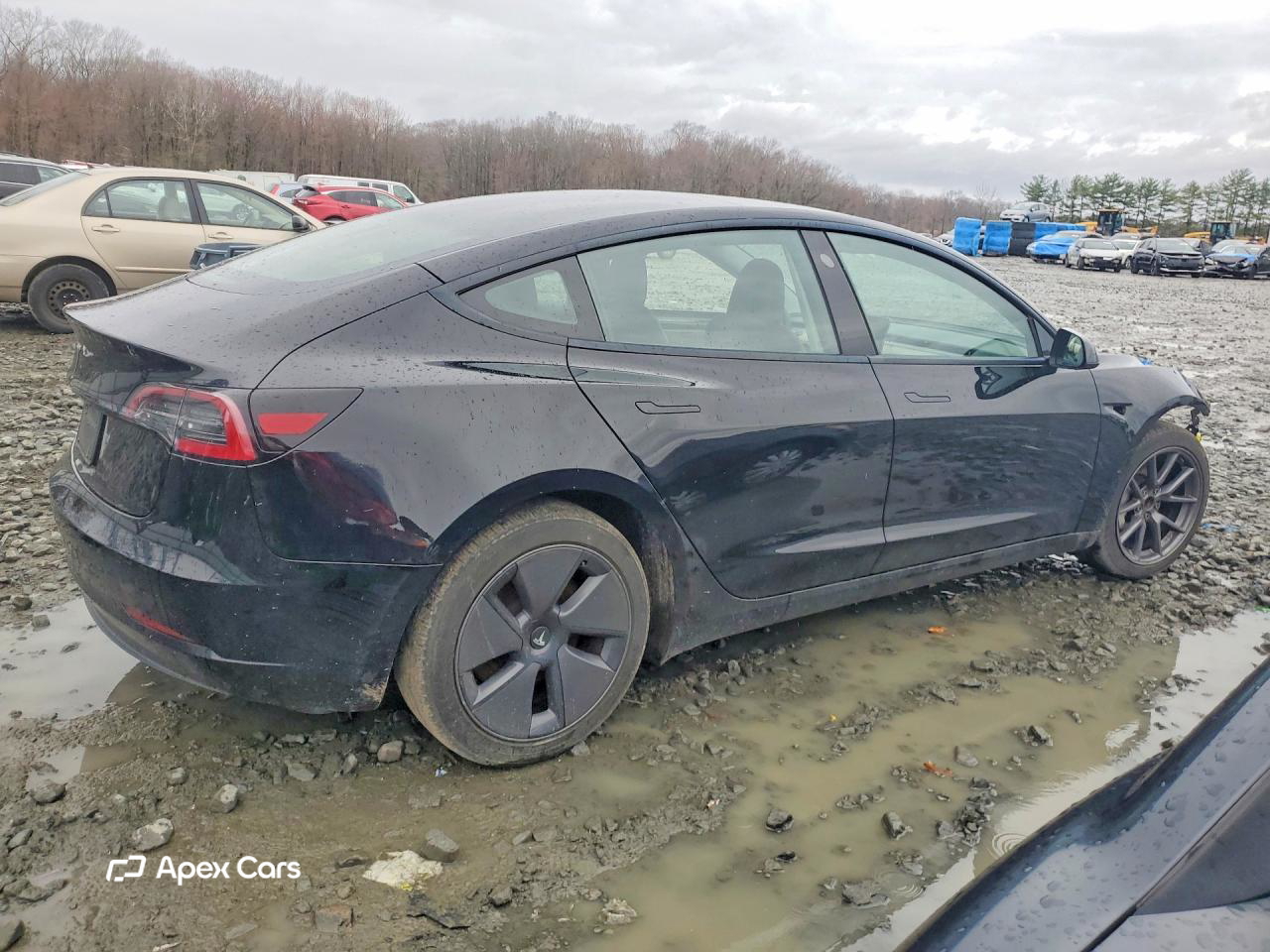 Tesla Model 3 2023